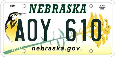 NE license plate AOY610