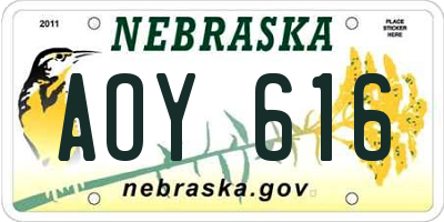 NE license plate AOY616