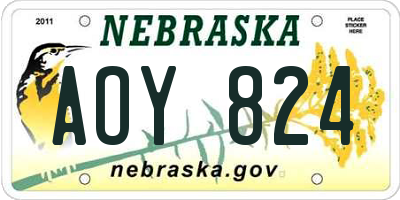 NE license plate AOY824