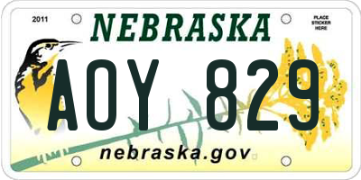 NE license plate AOY829
