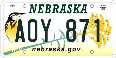 NE license plate AOY871