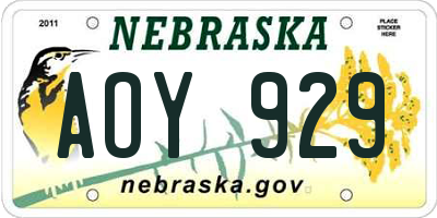 NE license plate AOY929