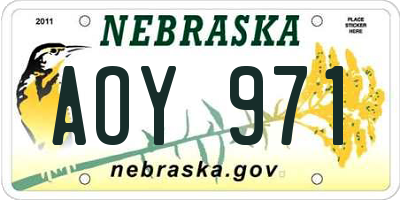 NE license plate AOY971