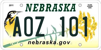 NE license plate AOZ101
