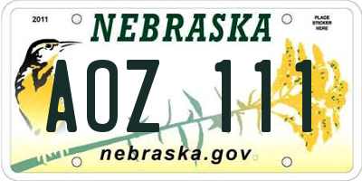 NE license plate AOZ111