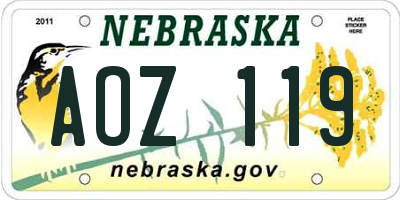 NE license plate AOZ119