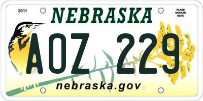 NE license plate AOZ229