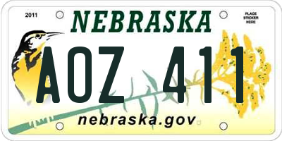 NE license plate AOZ411