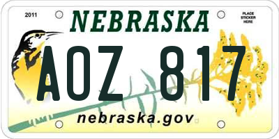 NE license plate AOZ817