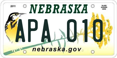 NE license plate APA010