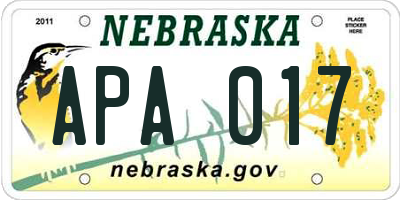NE license plate APA017