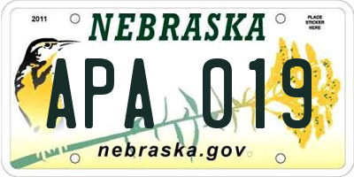 NE license plate APA019