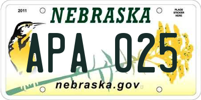 NE license plate APA025