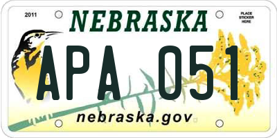 NE license plate APA051