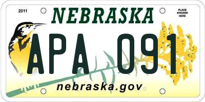 NE license plate APA091
