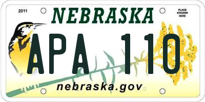 NE license plate APA110