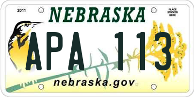 NE license plate APA113