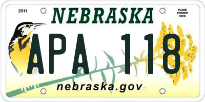 NE license plate APA118
