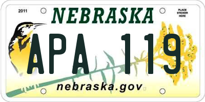 NE license plate APA119