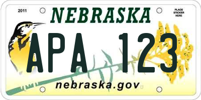 NE license plate APA123