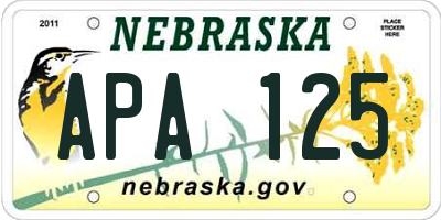 NE license plate APA125