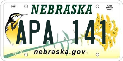 NE license plate APA141