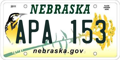 NE license plate APA153