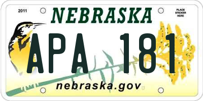NE license plate APA181
