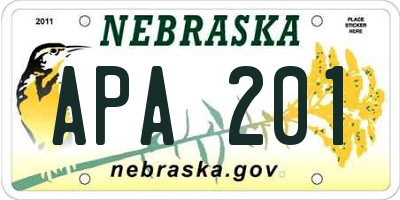 NE license plate APA201