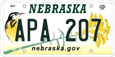 NE license plate APA207