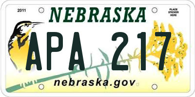 NE license plate APA217