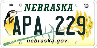 NE license plate APA229