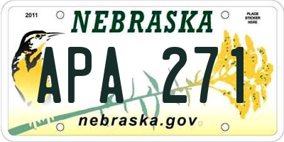 NE license plate APA271