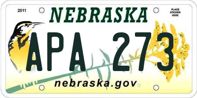 NE license plate APA273