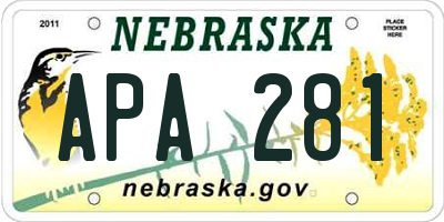 NE license plate APA281