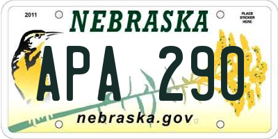 NE license plate APA290