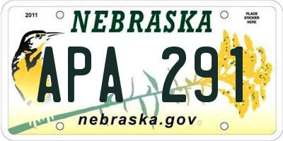 NE license plate APA291