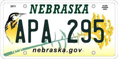 NE license plate APA295