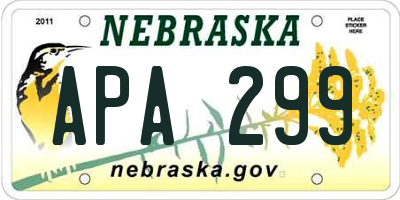 NE license plate APA299