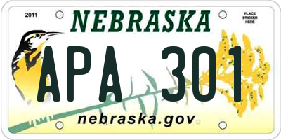 NE license plate APA301