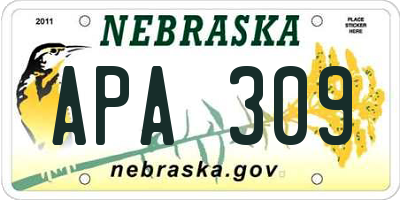 NE license plate APA309