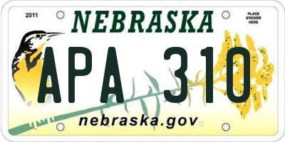 NE license plate APA310