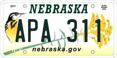 NE license plate APA311