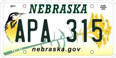 NE license plate APA315