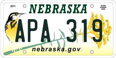 NE license plate APA319