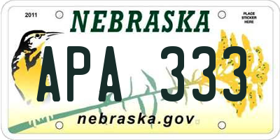 NE license plate APA333