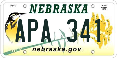 NE license plate APA341