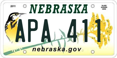 NE license plate APA411