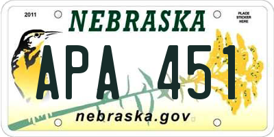 NE license plate APA451