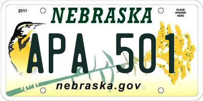 NE license plate APA501